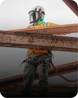 Interior Designer, Crew